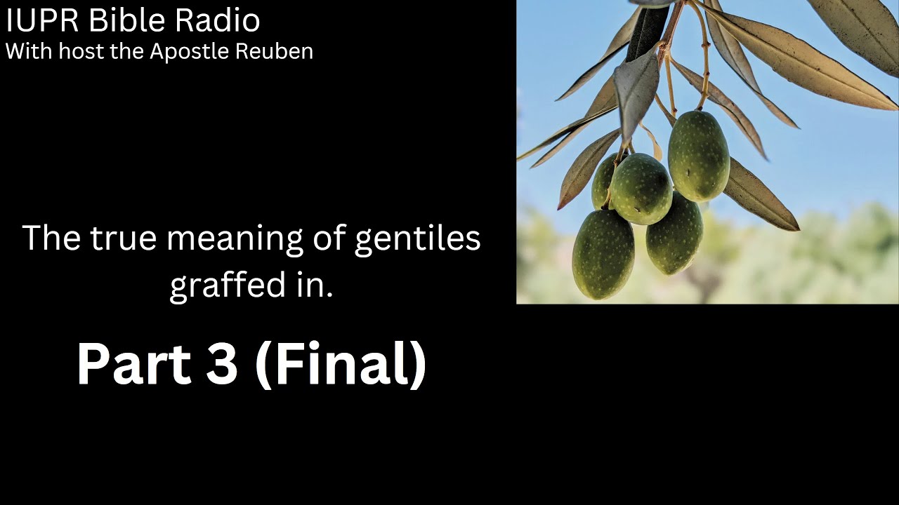 The true meaning of gentiles graffed in (Part3 final)