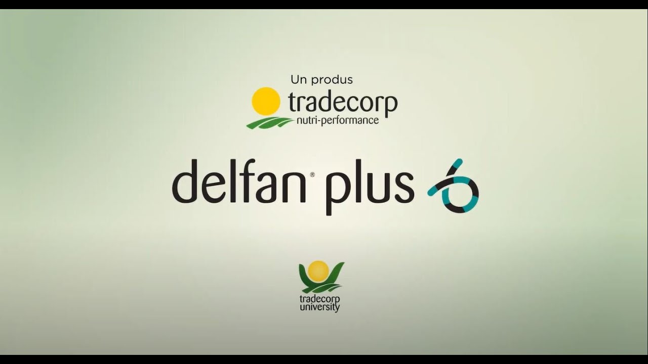 Delfan Plus - cum functioneaza amonoacizii esentiali?