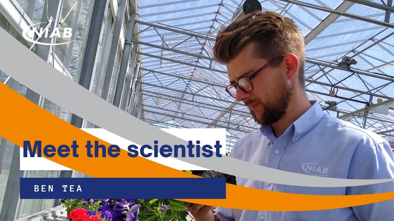 Meet the Scientist: Ben Tea