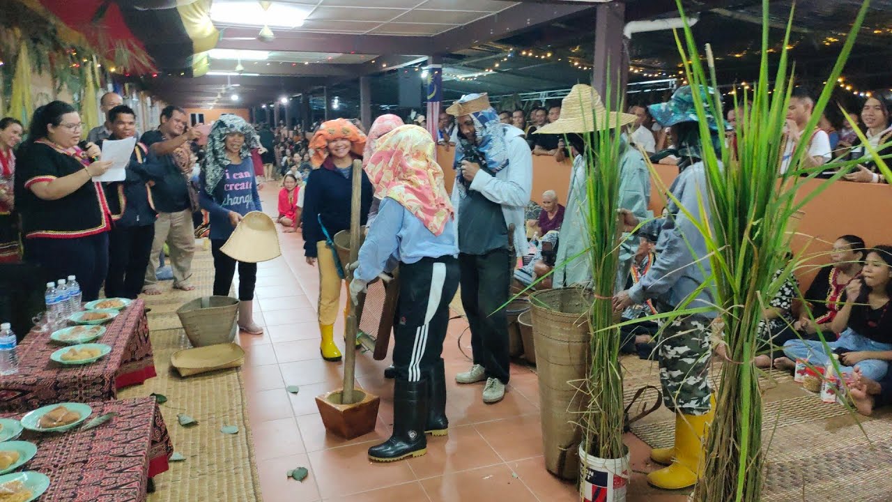ADAT SUKU DAYAK BIDAYUH KAMPUNG PICHIN|| LAKONAN PENDUDUK KAMPUNG MENANAM PADI