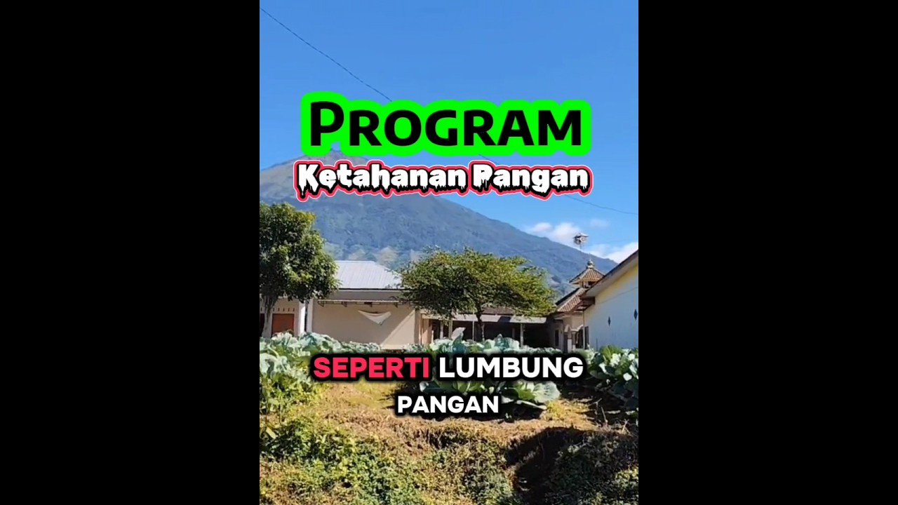 Program Ketahanan Pangan BUMDES #bumdes #ketahananpangan #desa #kades #pendampingdesa #tpp #viral