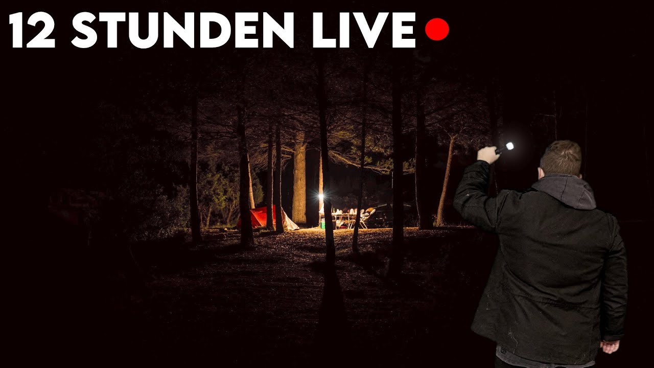 12 STUNDEN alleine im WALD! 😲 - MIT Wildkamera, Nachtwanderung und Lagerfeuer! - LIVE 🔴