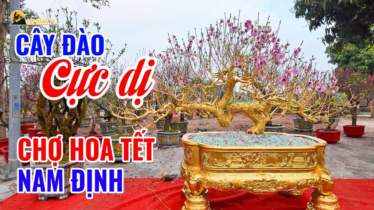 Chợ Hoa Tết Nam Định Ngày 23 Tháng Chạp | Không Khí Giáp Tết Rộn Ràng