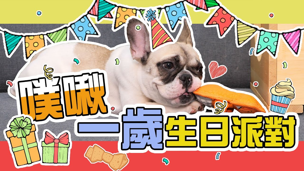 一豬小公主｜噗啾一歲生日派對