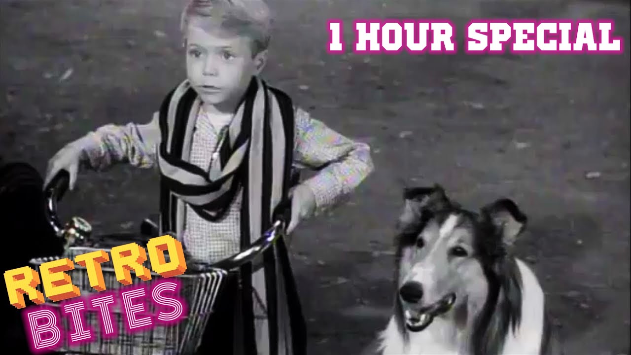 Lassie | 1 Hour Special | Lassie English Full Episodes 🐕