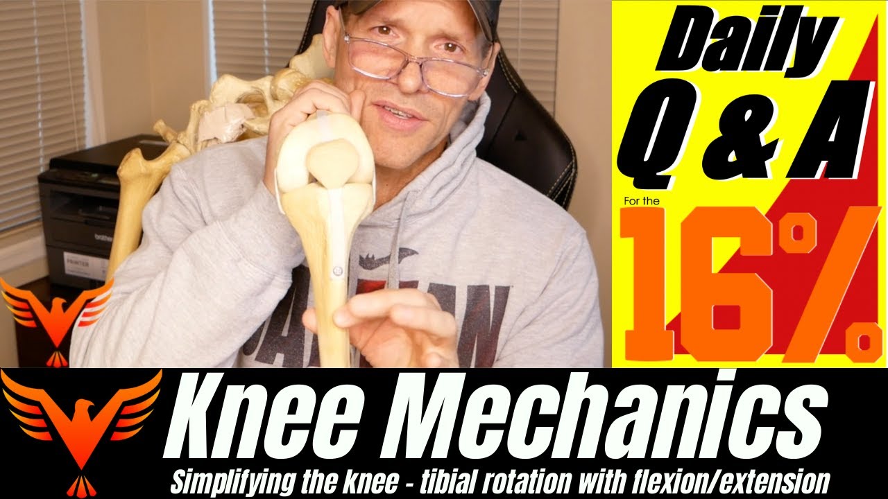 Q & A for The 16% - Simplifying The Knee - Tibio-femoral external rotation - BillHartmanPT.com