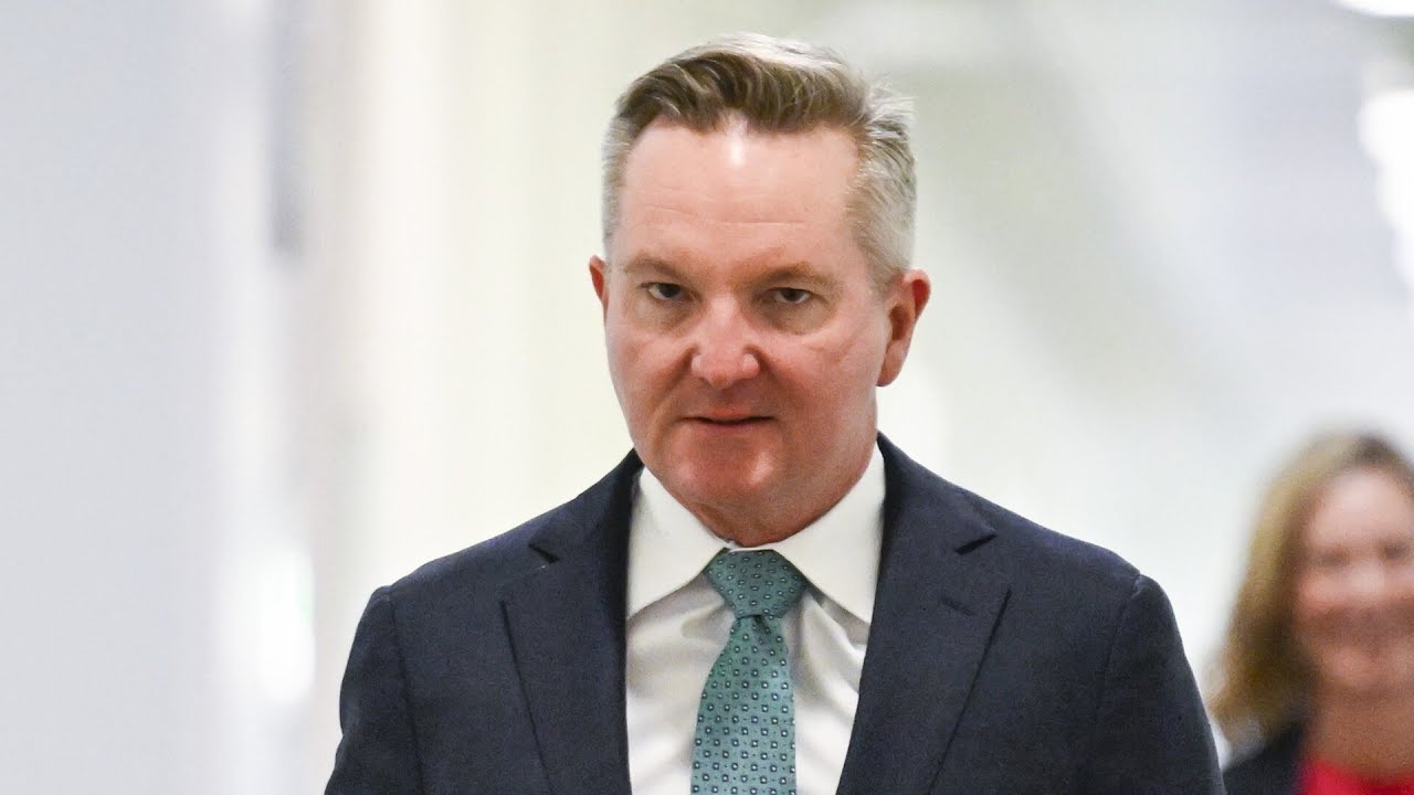 ‘A pipe dream’: Net zero target makes ‘no sense’ for Australia