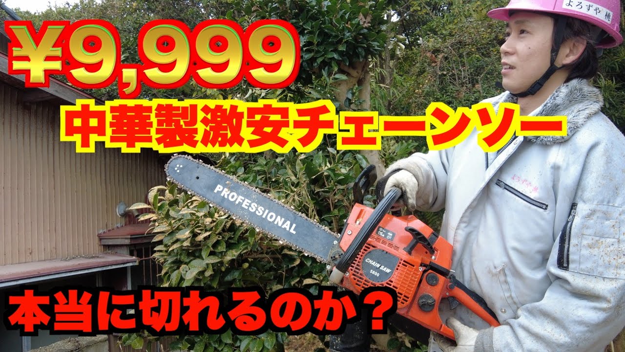 【伐採】中華製激安チェーンソー、あなたは買いですか？