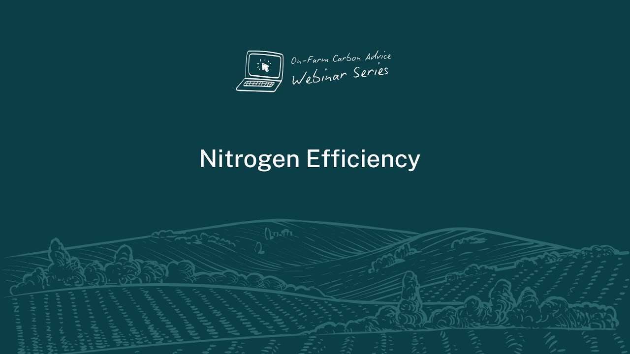 On-farm Carbon Advice's Webinar: Nitrogen Efficiency