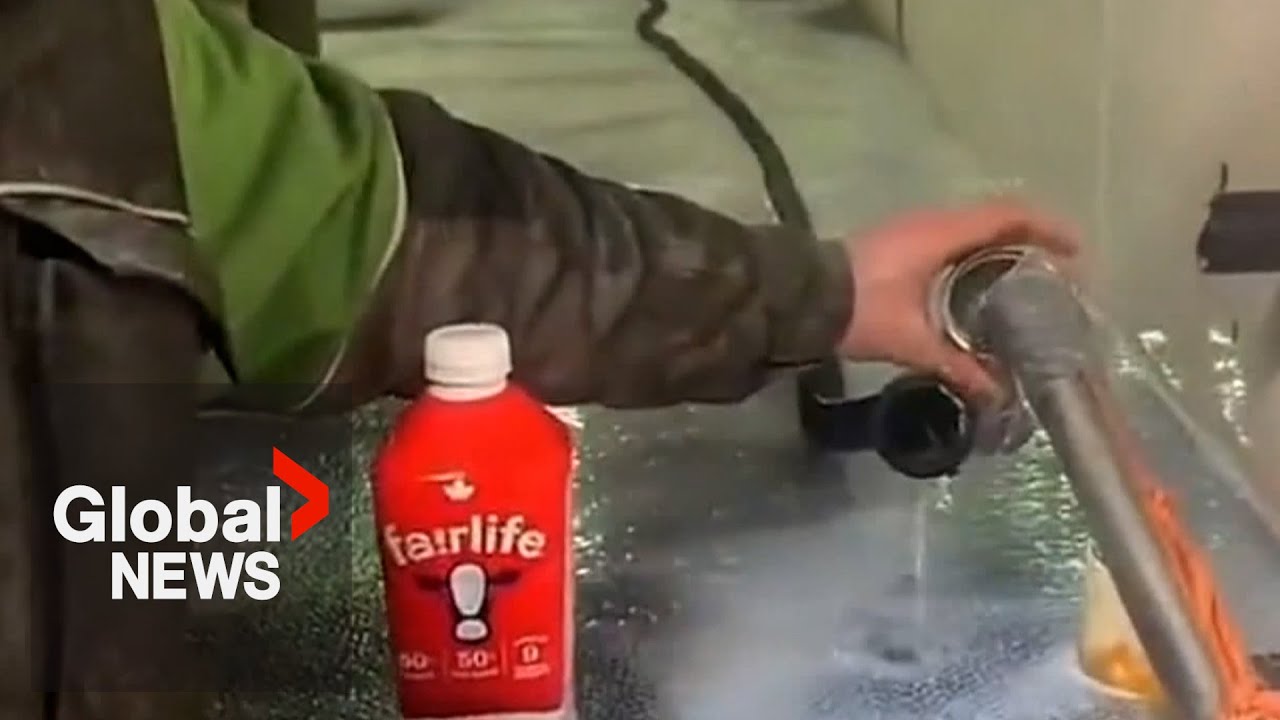 Ontario dairy farmer sparks controversy with video showing raw milk being poured down the drain