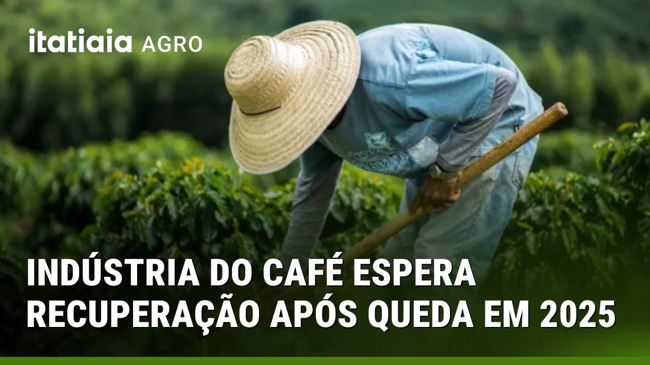 INDÚSTRIA DO CAFÉ DO BRASIL ESPERA RECUPERAÇÃO APÓS QUEDA NA DEMANDA EM 2025