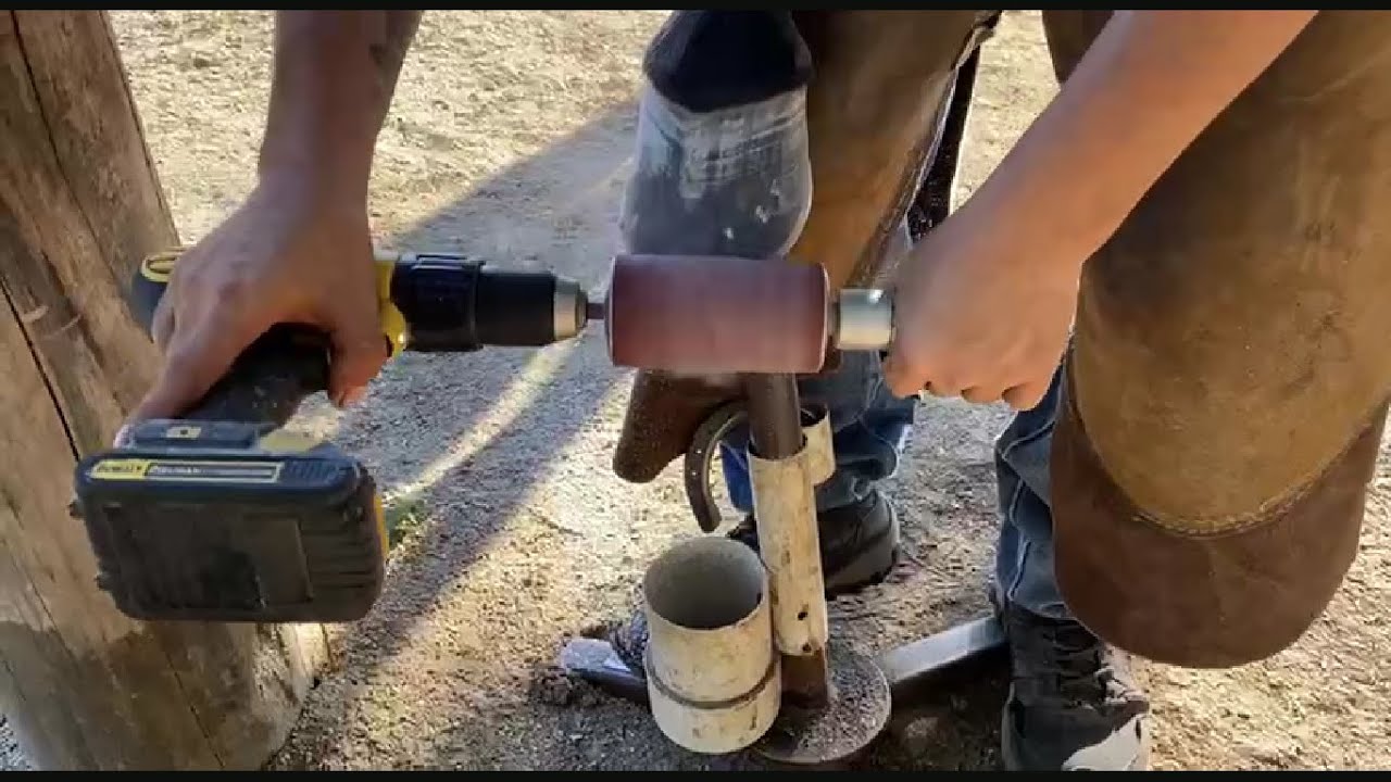 Herrar Caballo para principiantes