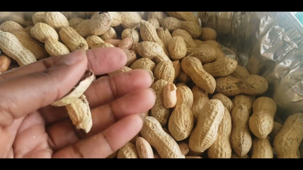 comments calez les Pistache /how to crack peanut 🥜🥜Hetty