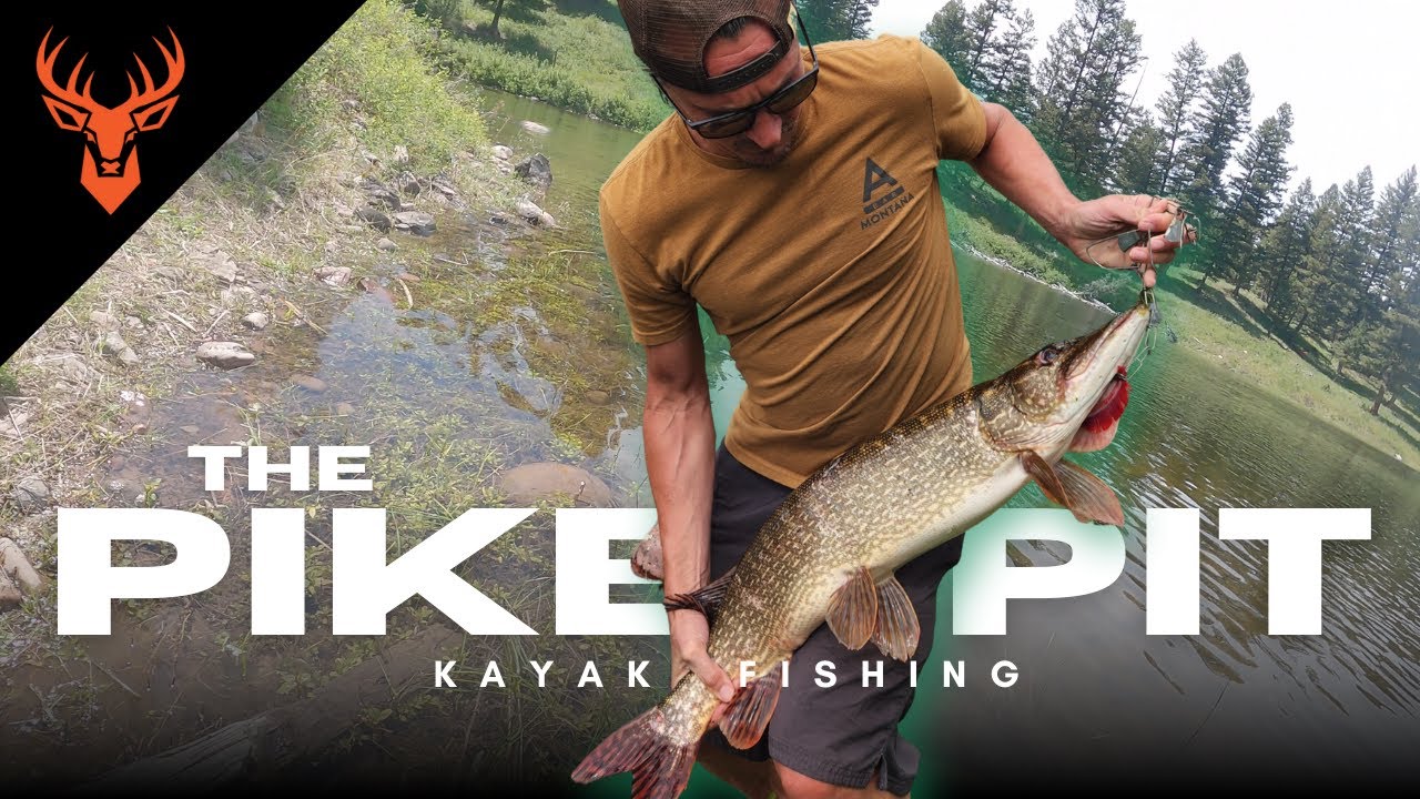Full Stringer from the Pike Pit  -  Kayak Fishing for Browns and a Monster