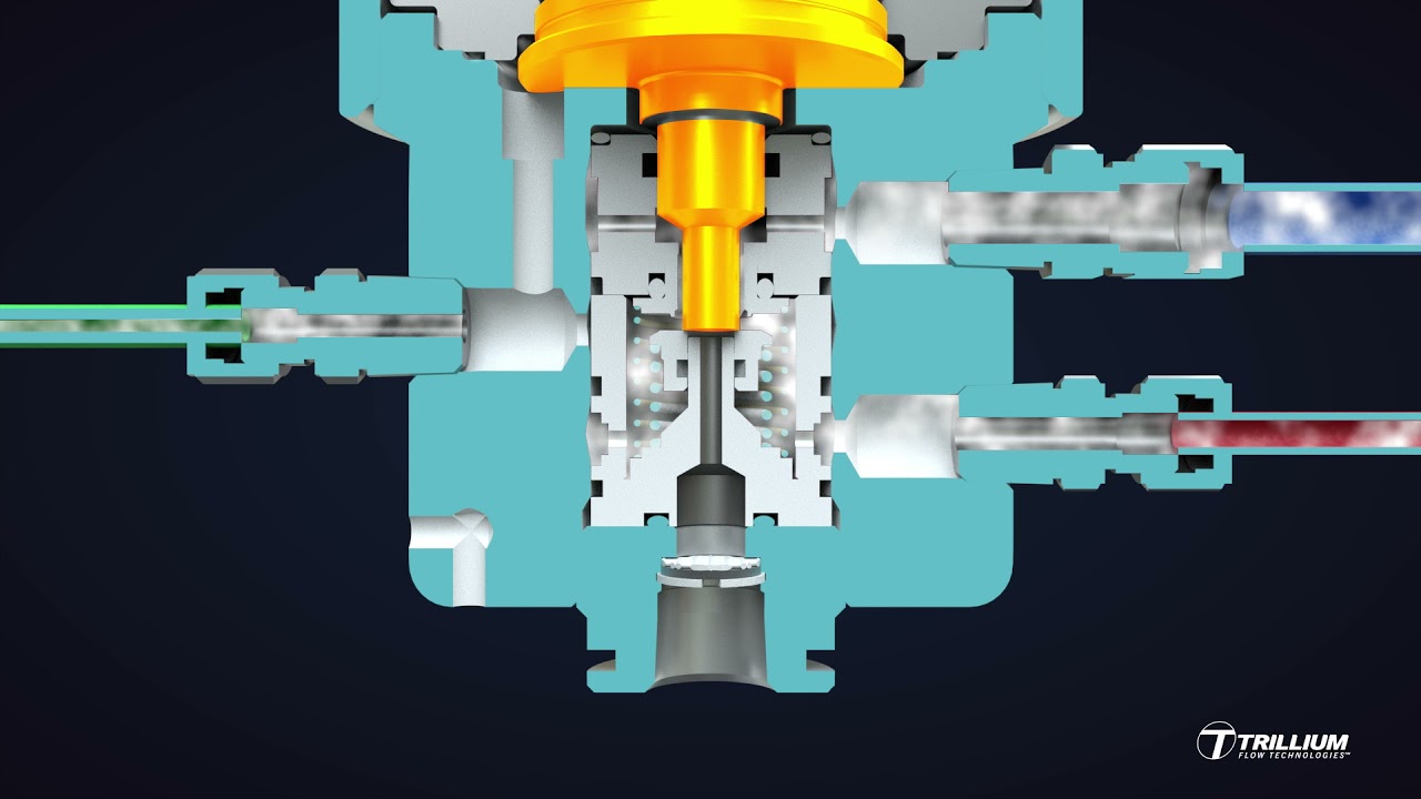 DMS Pilot - Modulating Action