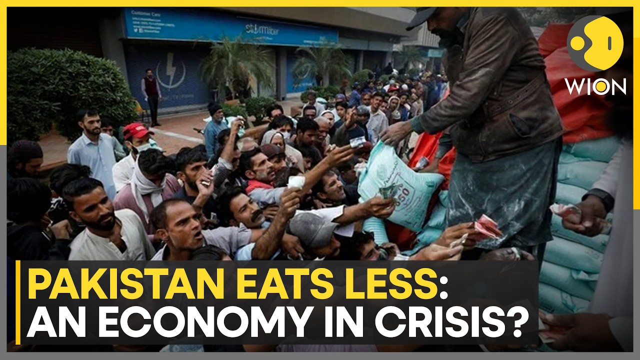 Wheat, Meat, Hope: All Declining In Pakistan | WION Business News