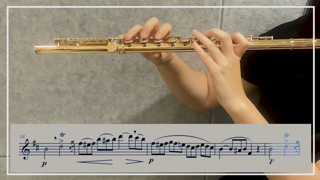 Gariboldi Flute Etudes  Op. 132  No. 13 B Minor
