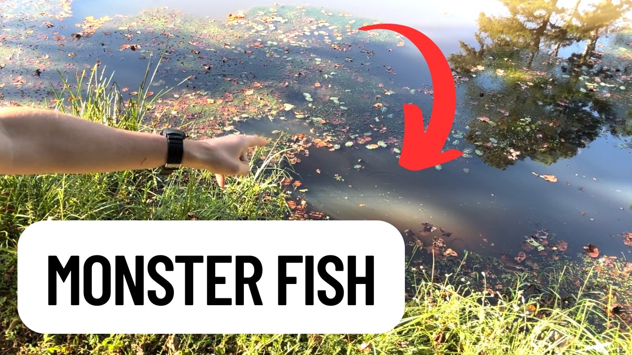 GIANT BASS in a Farm Pond 🎣 – This Spot Was INSANE!