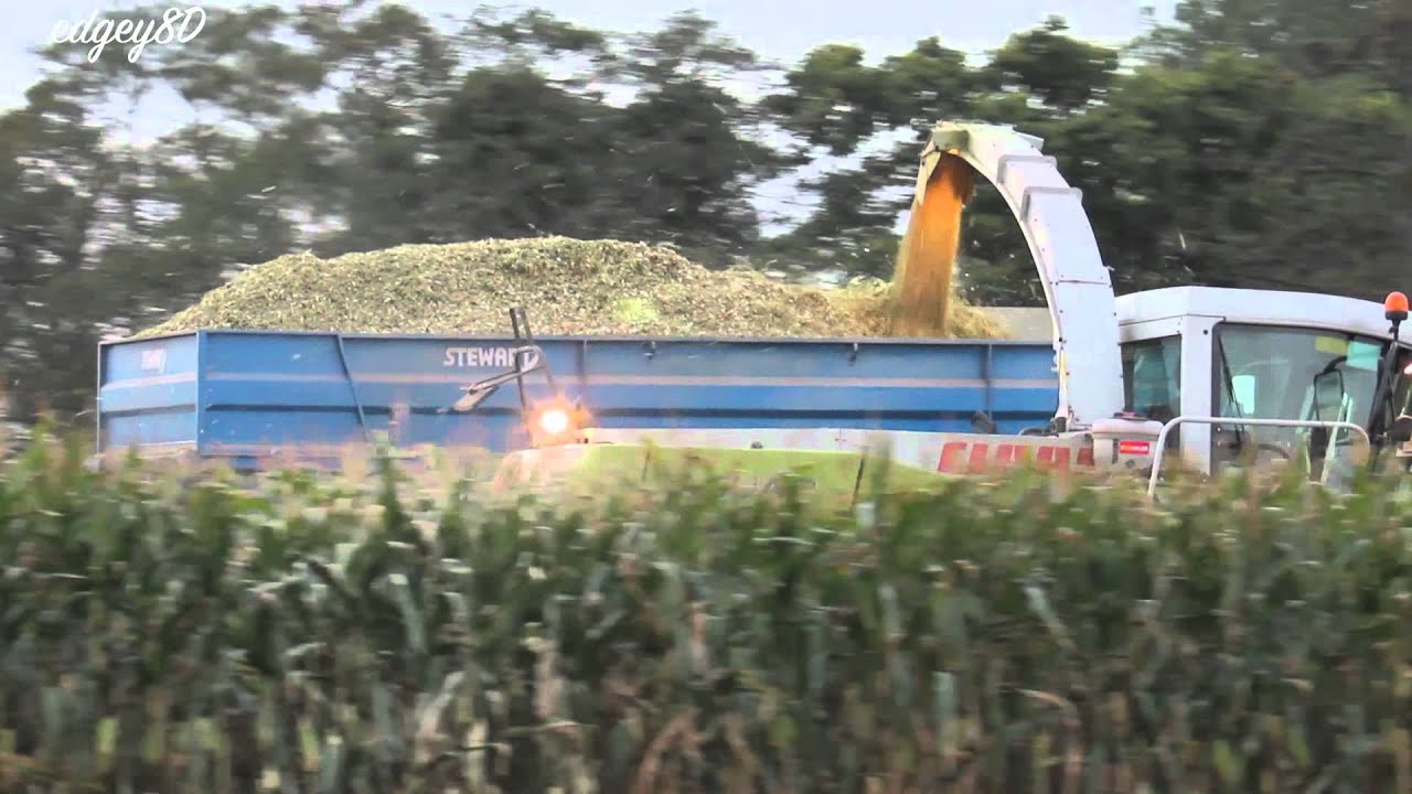 Claas Jaguar 900 Maize 2011 - (1080HD)
