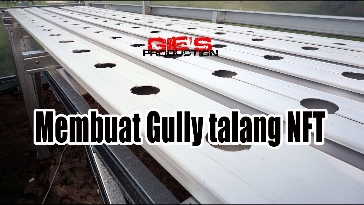 Membuat Gully Talang NFT Hidroponik