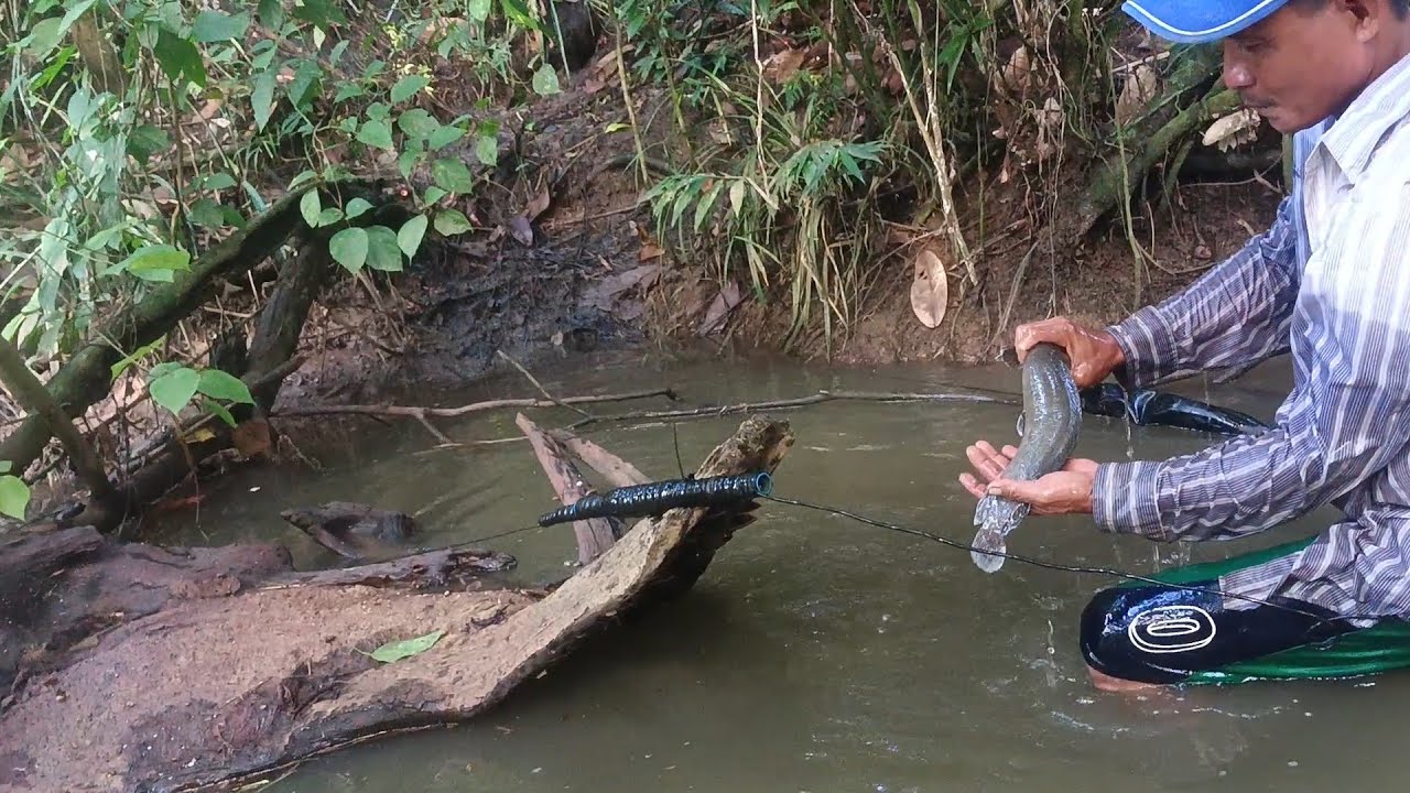 LibLib na Gubat dinayo namin#amazingcatch #fishing 