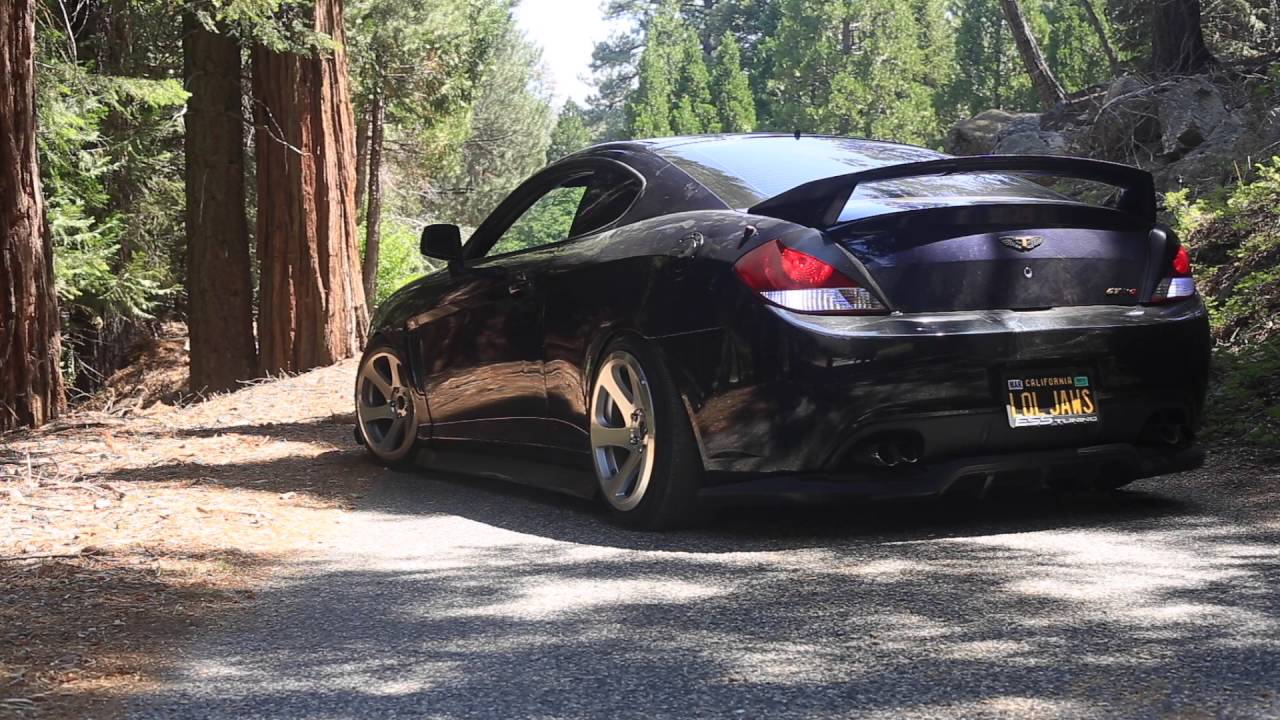 LOL JAWS Hyundai Tiburon