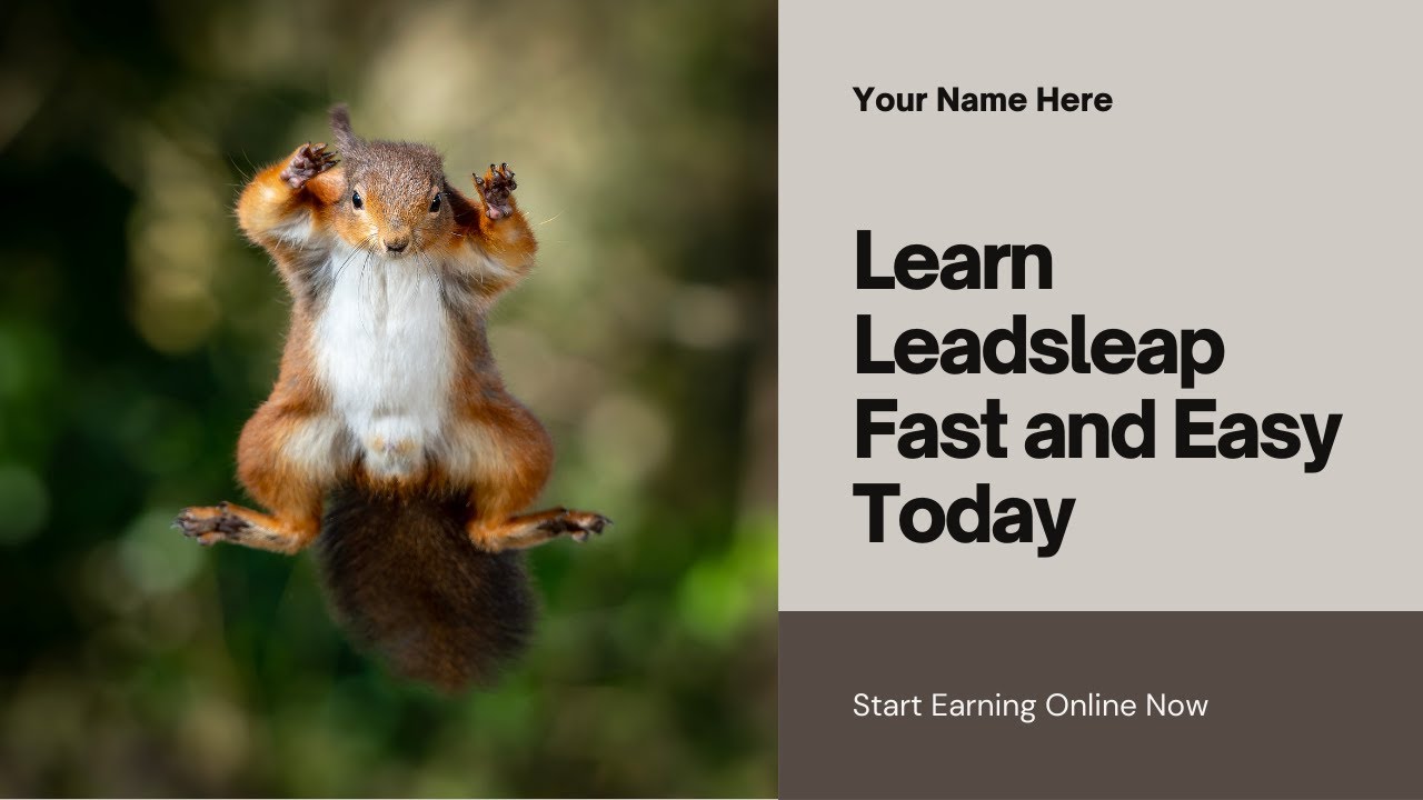 Leadsleap Tutorial For Beginners