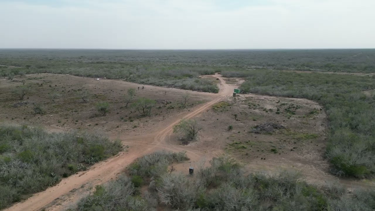 DJI 0488