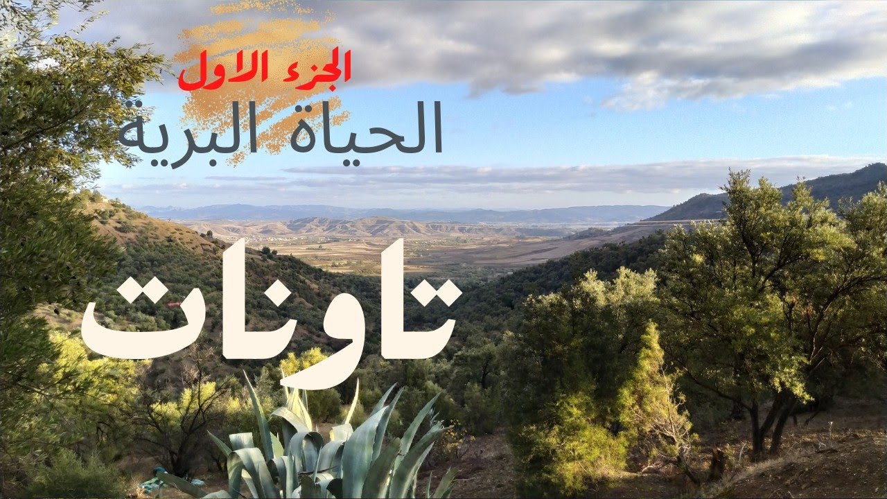 تاونات مملكة التين و الزيتون | الجزء الاول : الحياة البرية| Taounate #تاونات