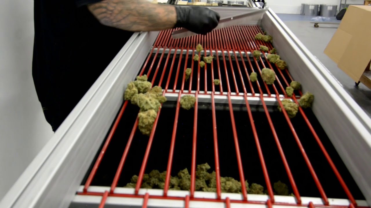 Ez Trim Bud Sorter