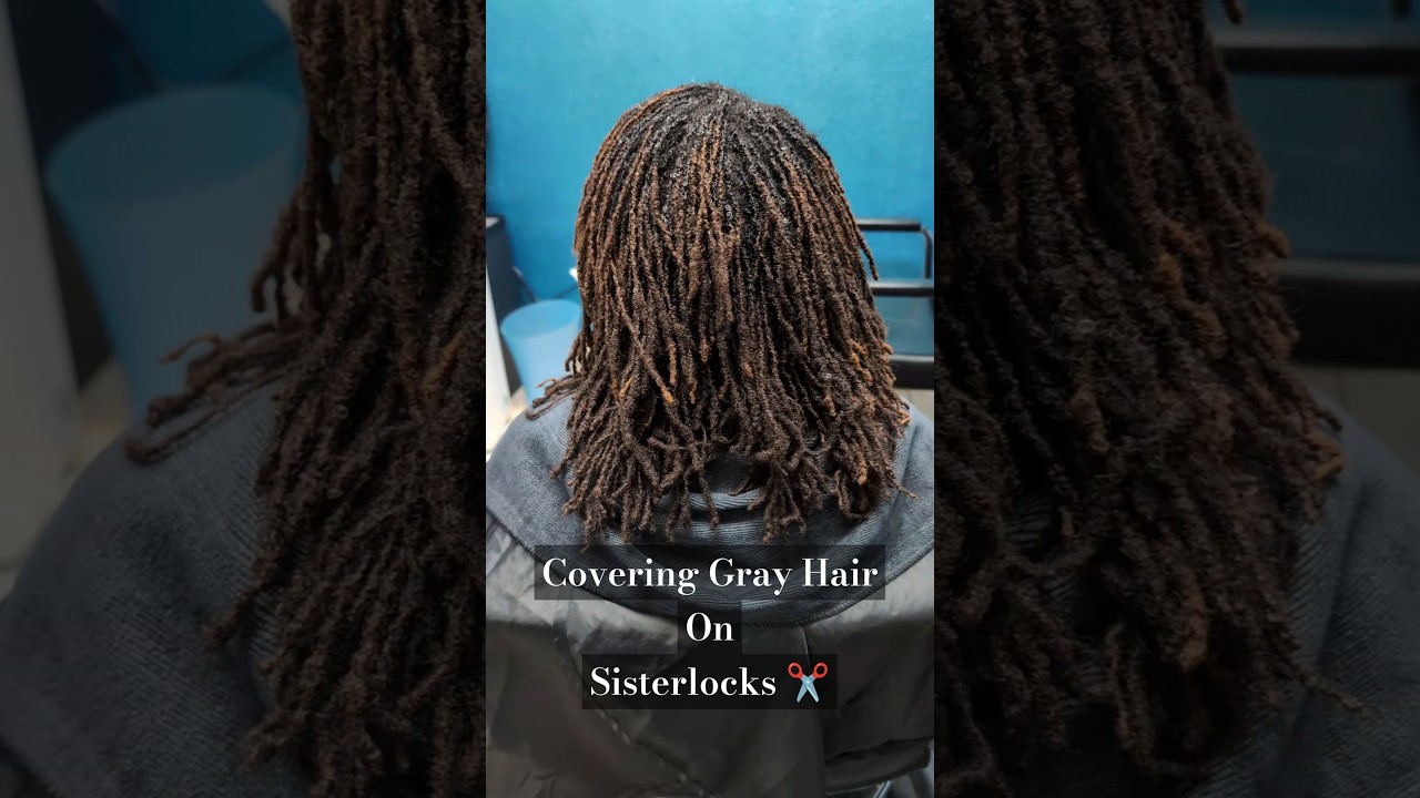 Covering Gray Hair on Sisterlocks ✂️ Athena's Hair Pallas #sisterlockstyles #hair #naturalhair