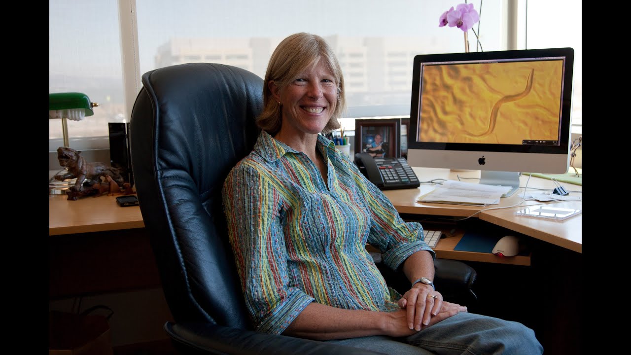 Scientist Stories: Cynthia Kenyon, Genetics of Aging