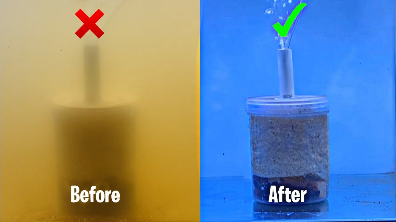 DIY Fish Tank Filter / How to make aquarium filter at home