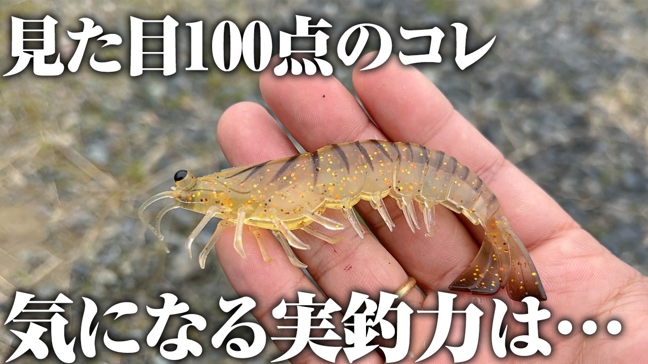 感想：マジでエビ。エビすぎると話題のルアーを試してみたら、記録級混じりの爆釣回になった件
