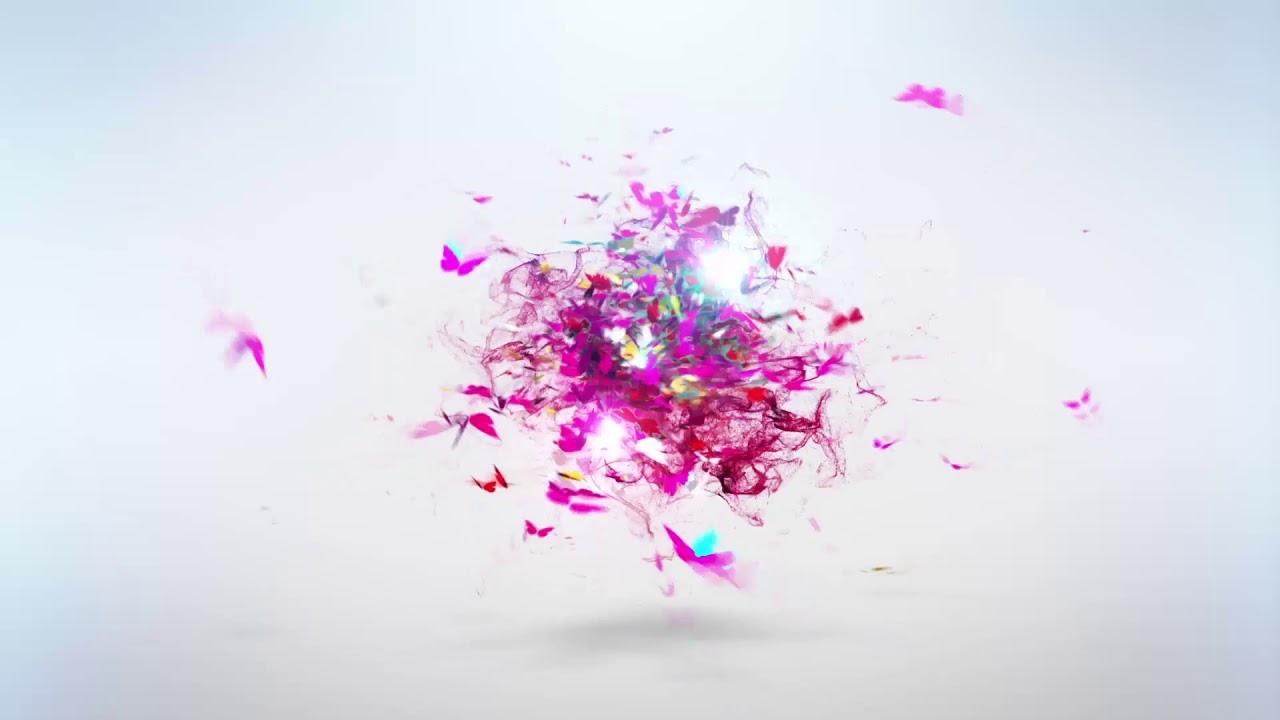 Wedding logo animation , wedding wing photography -7977913122