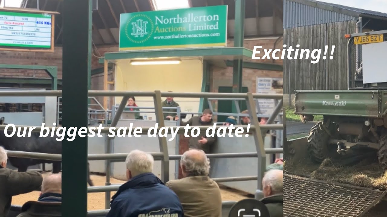 Our biggest sale day to date!!!
