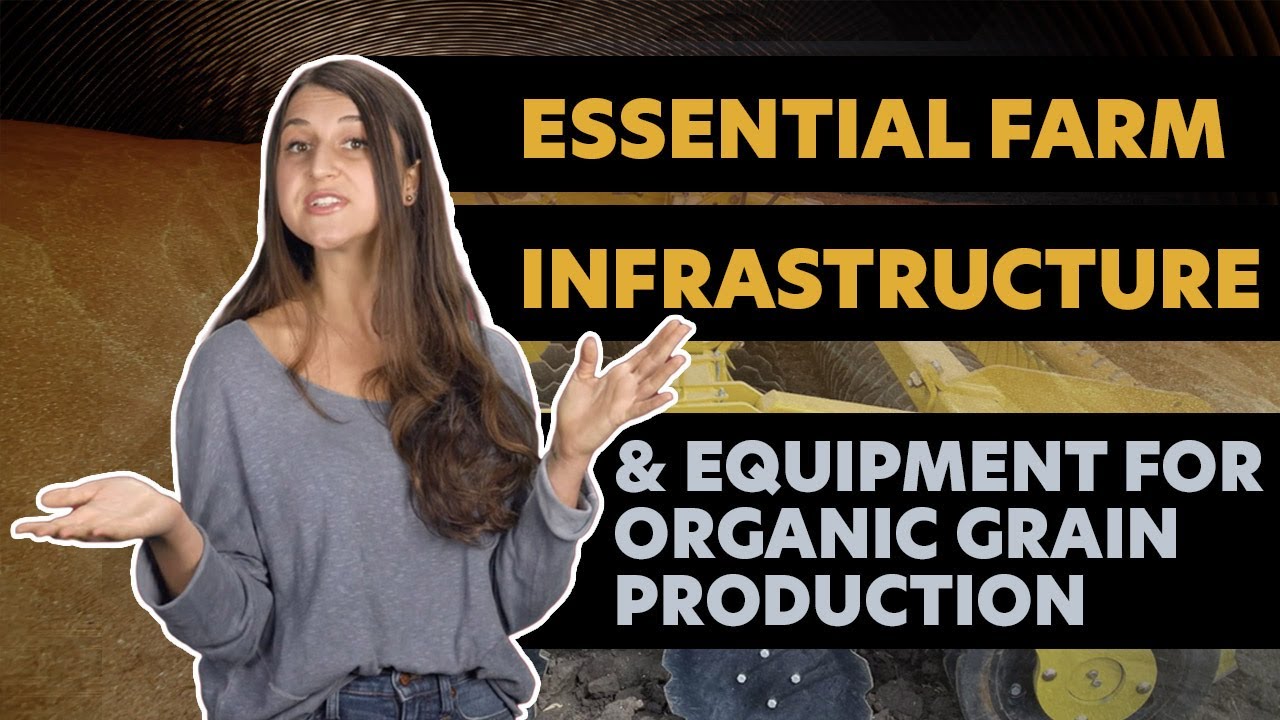 Essential Farm Infrastructure and Equipment for Organic Grain Production