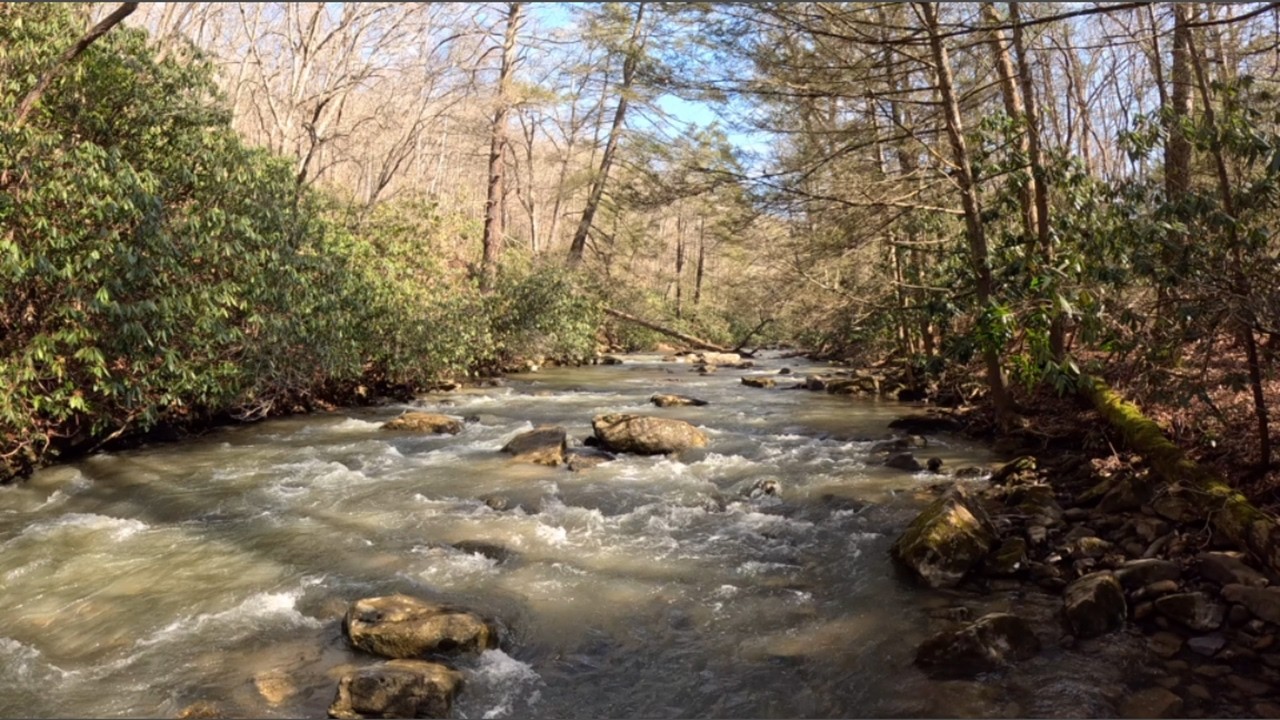 First Wade of 2026 - Creek Still Running High | Episode #13