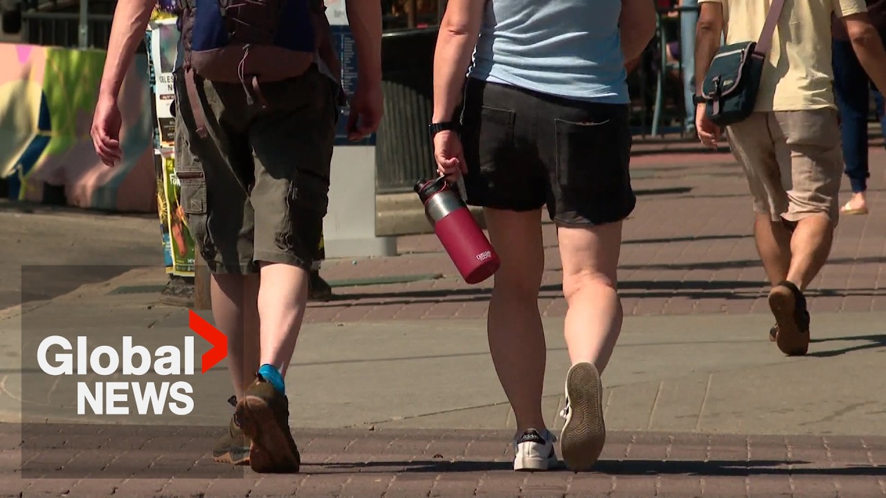 &ldquo;It&rsquo;s confusing&rdquo;: Around half of Albertans don&rsquo;t understand separation question according to survey
