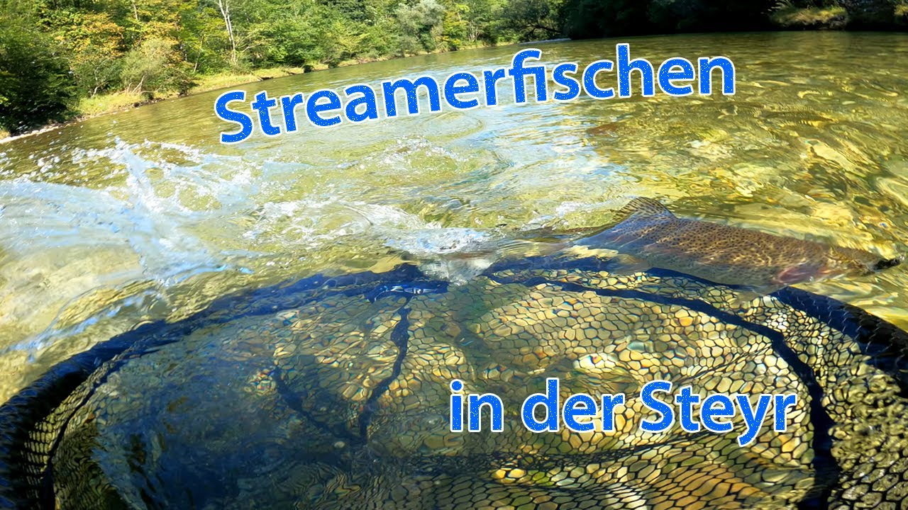 Streamerfischen in der Steyr