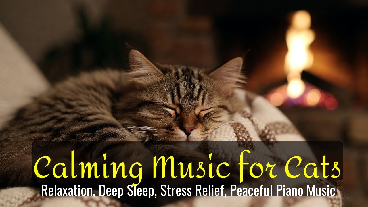 Calming Music for Cats - Relaxation, Deep Sleep, Stress Relief, Peaceful Piano Music | Season 82
