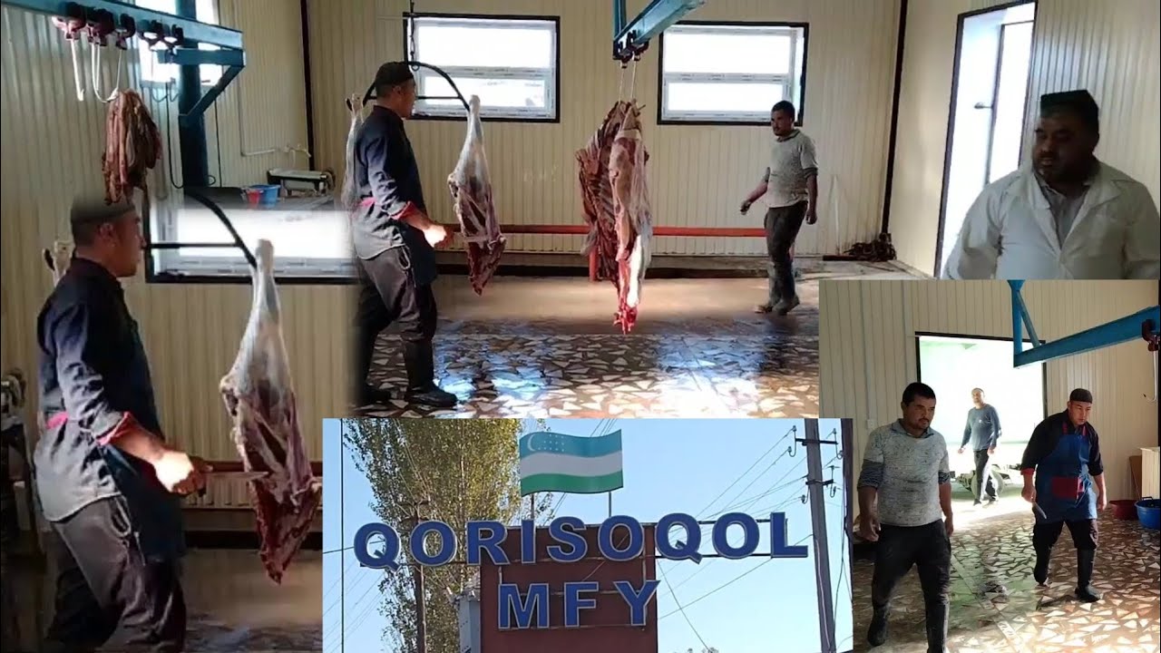 Янги очилган қушхонада шундай ишлар бўлмоқда..
