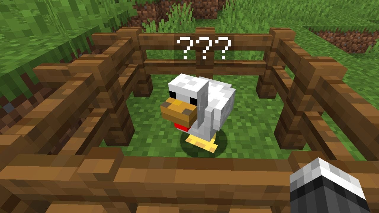 FIRST Chicken of the Week 🐔 (Day 16) | Ryan3000 Challenge