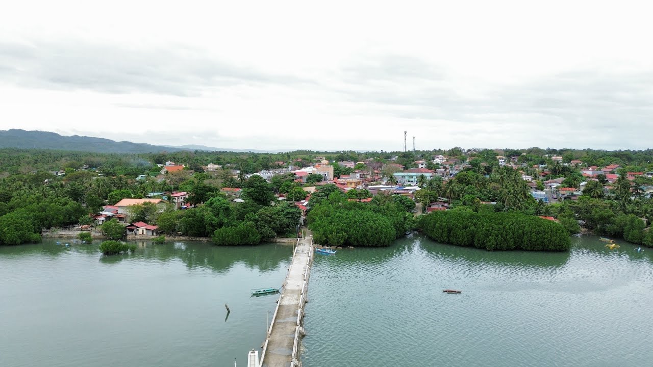 Dji Mini 3 Flight and Camera test