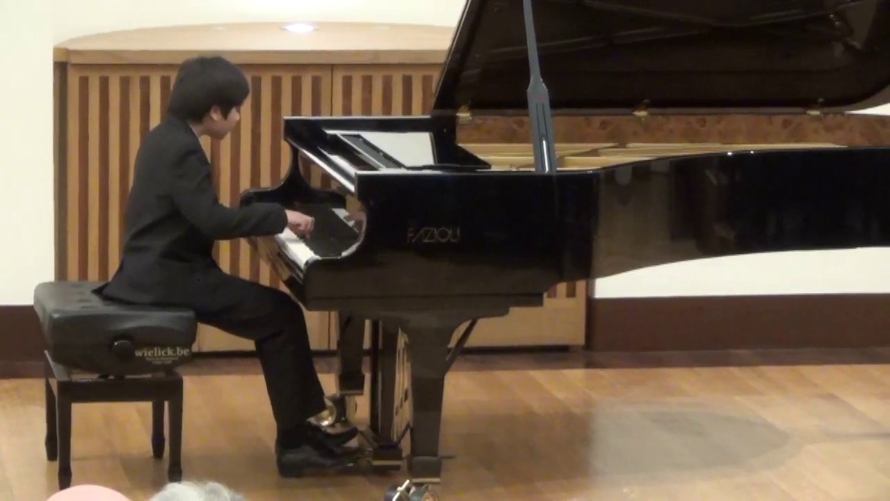 Steven Kleeven Liege Laureates concert 2017