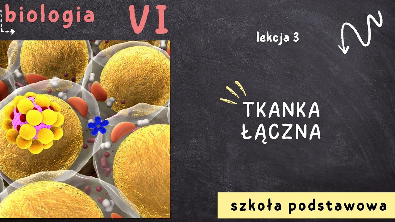 Biologia klasa 6 [Lekcja 3 - Tkanka łączna]