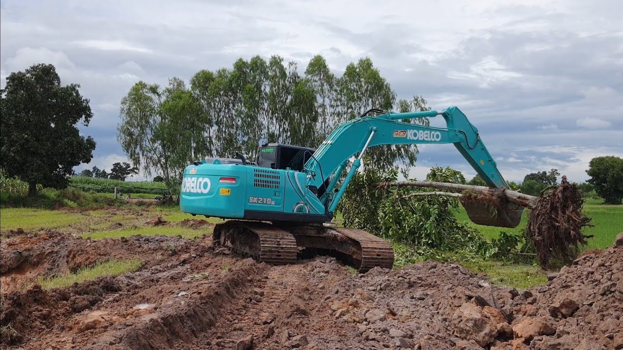 KOBELCO SK210LC ยกต้นไม้หนักๆท้ายไม่มีกระดก!!