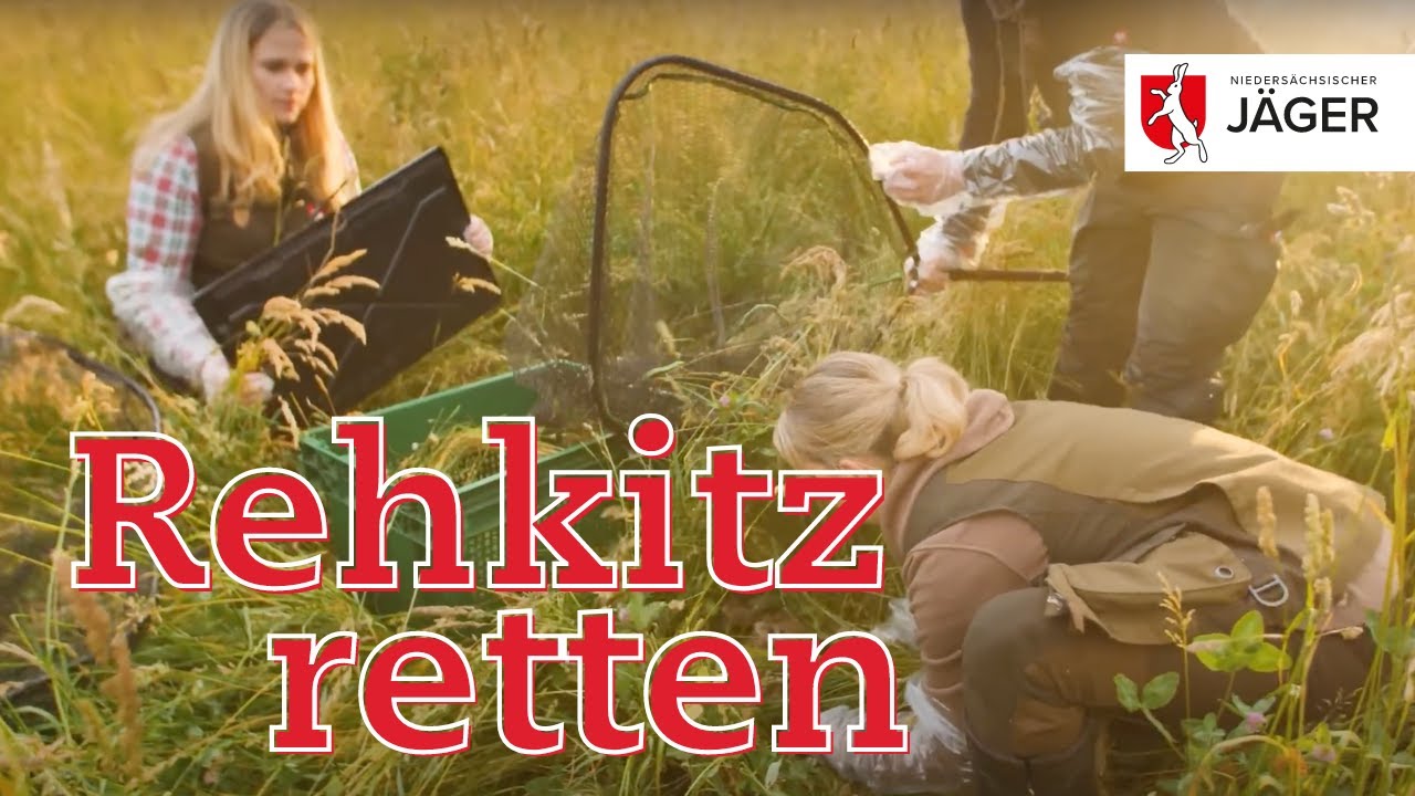 Kitzrettung - Wir Jäger in Niedersachsen unterwegs im schönsten Bundesland der Welt
