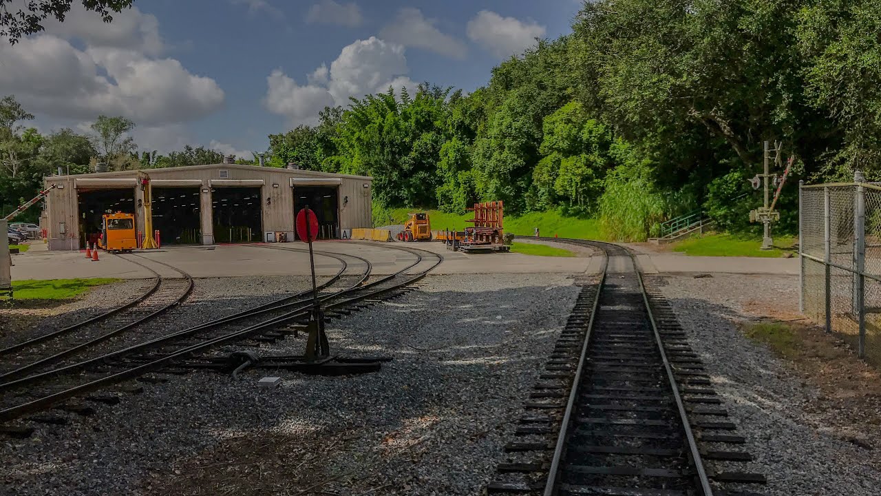 Wildlife Express Train At Animal Kingdom 8/10/2018