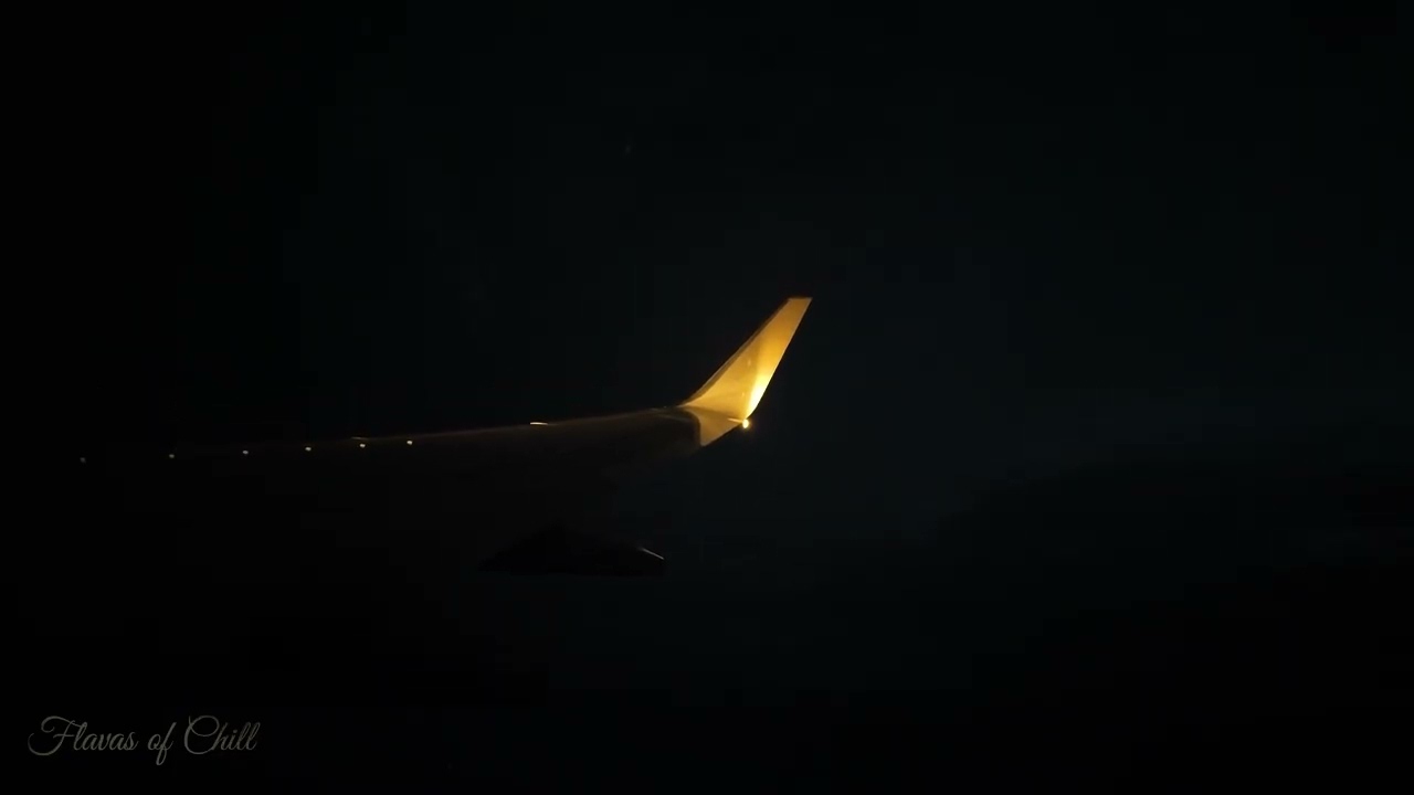 DARK Takeoff & Landing Night Flight Ambience ✈️  | Call Dings + Flight Attendant + Captain | Sleep